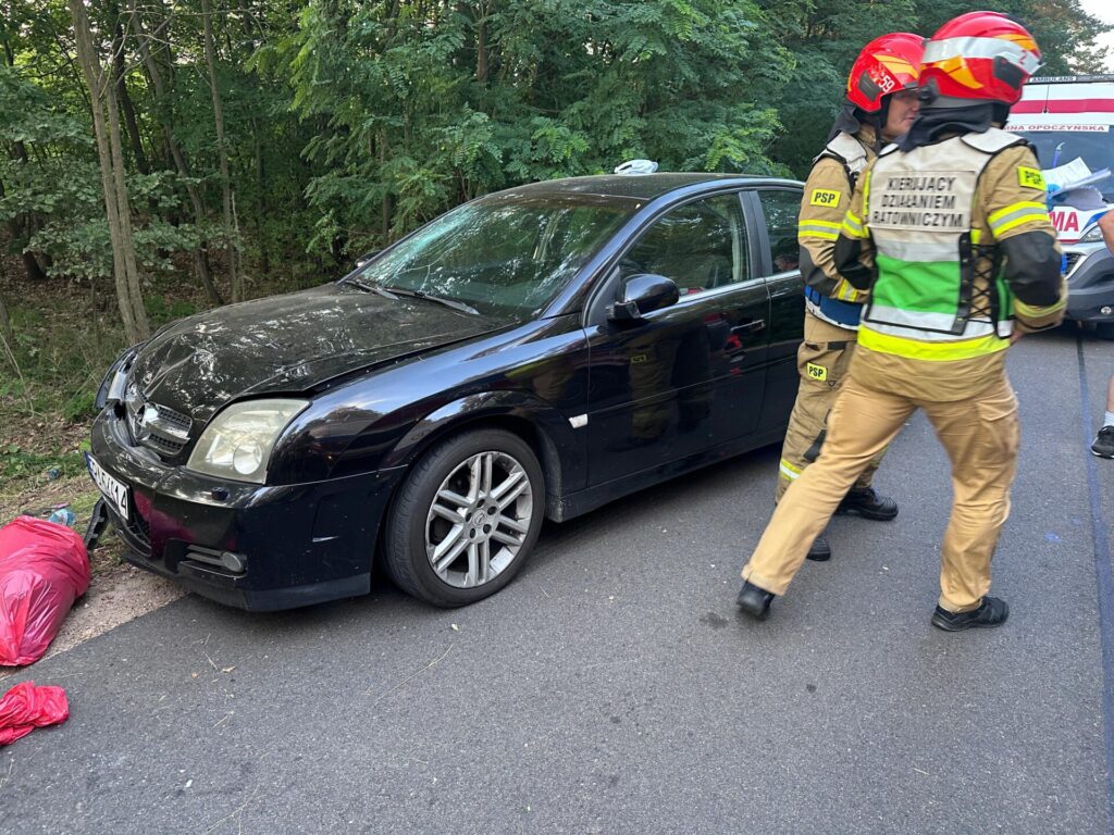 Pijany kierowca wjechał w pielgrzymów